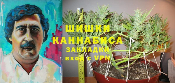 хмурый Дмитров
