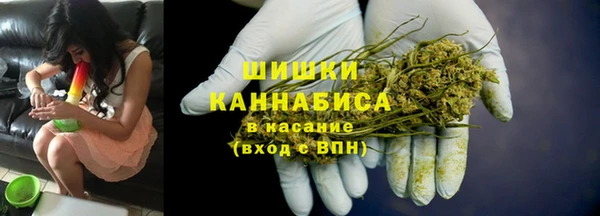 хмурый Дмитров