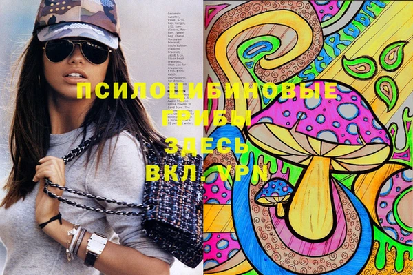 apvp Дмитриев