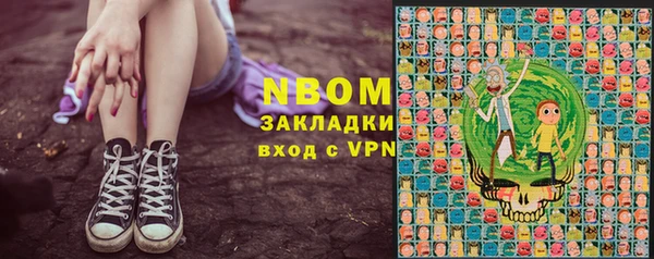 хмурый Дмитров