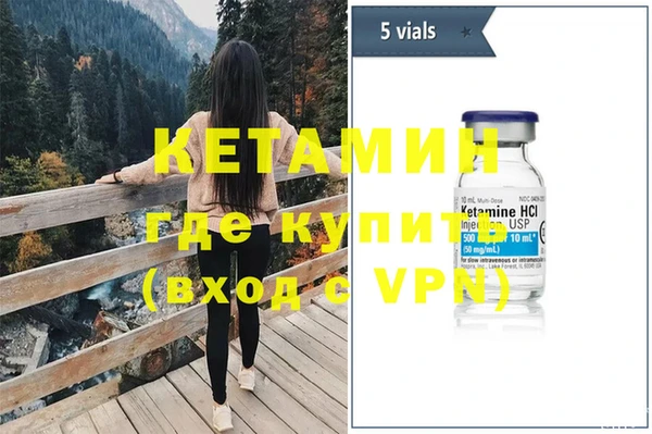apvp Дмитриев