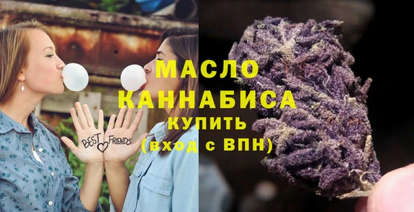 хмурый Дмитров