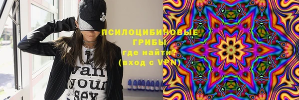 хмурый Дмитров