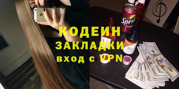 хмурый Дмитров