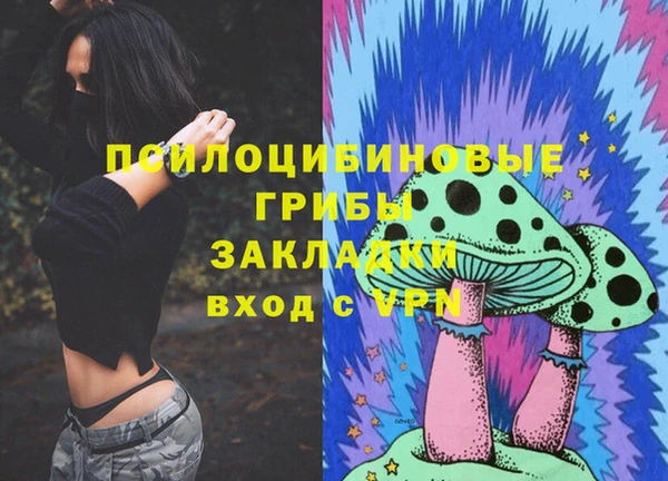хмурый Дмитров